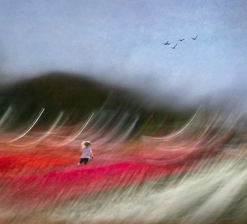 Dreamy Flower Field Run by Shenshen Dou — canvas wall art