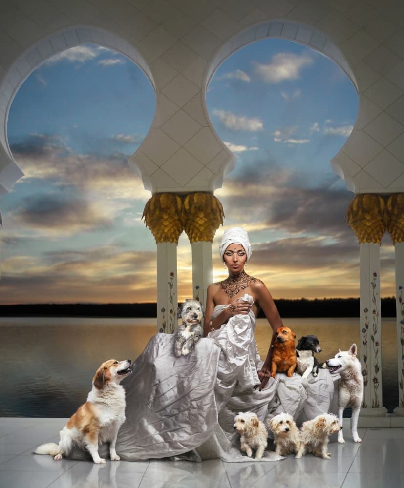 Regal Woman with Dogs by DDiArte — canvas wall art