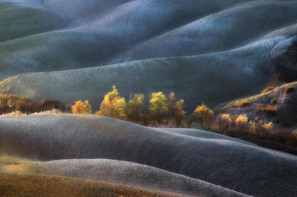 Blue Hills Golden Trees by Jure Kravanja — canvas wall art