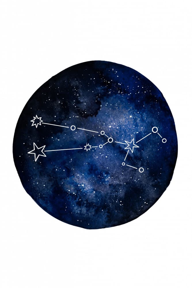 Taurus by EMELIEmaria — canvas wall art