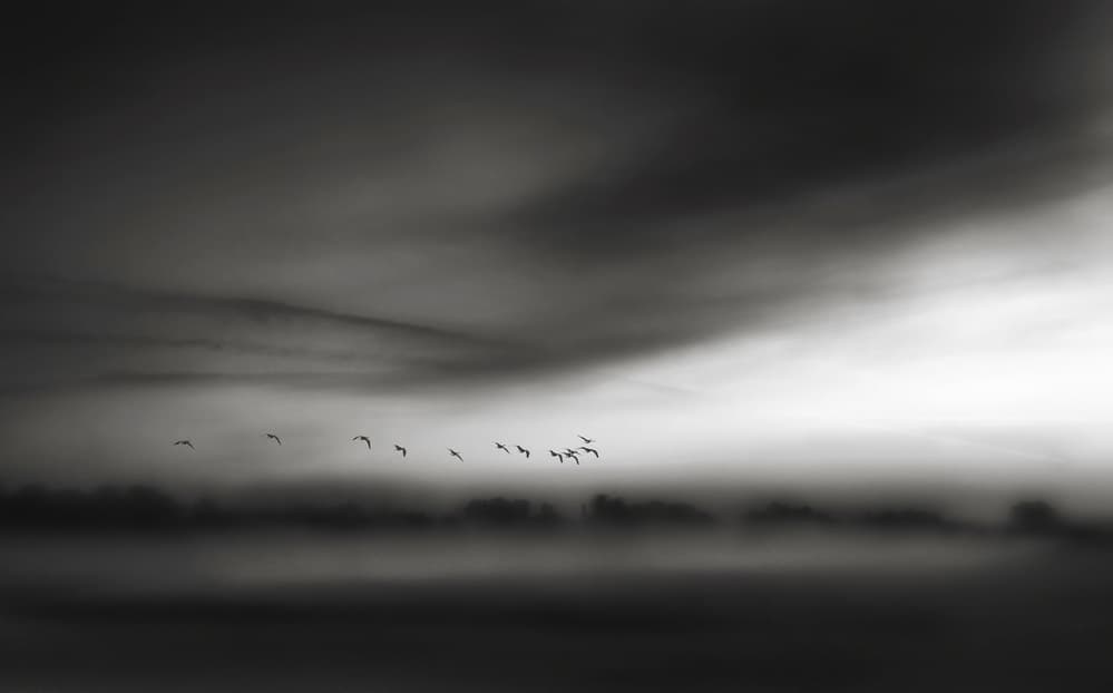 Birds Flying Misty Landscape by Yvette Depaepe — canvas wall art