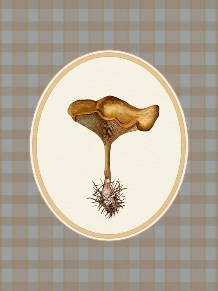 Autumn Mushroom Plaid by Wild Violets — canvas wall art