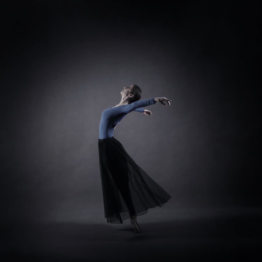 Graceful Ballet Dancer by Moein Hasheminasab — canvas wall art