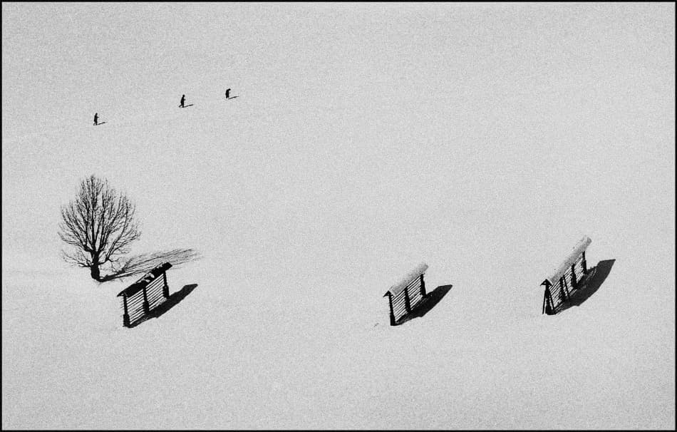 Birds Over Winter Snow by Milan Malovrh — canvas wall art