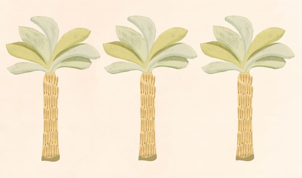 Coastal Palm Trio by Kristian Gallagher — canvas wall art