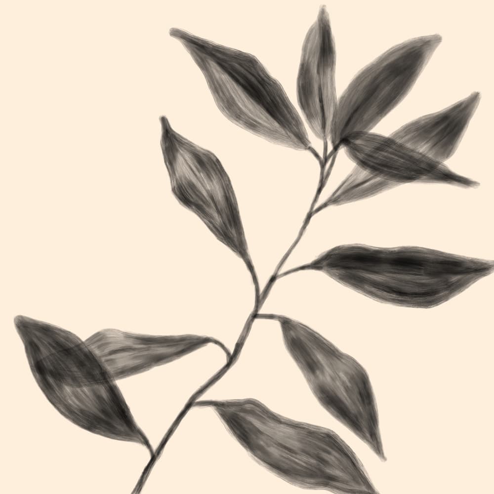 Delicate Leaf Branch by Aliya Putrus — canvas wall art