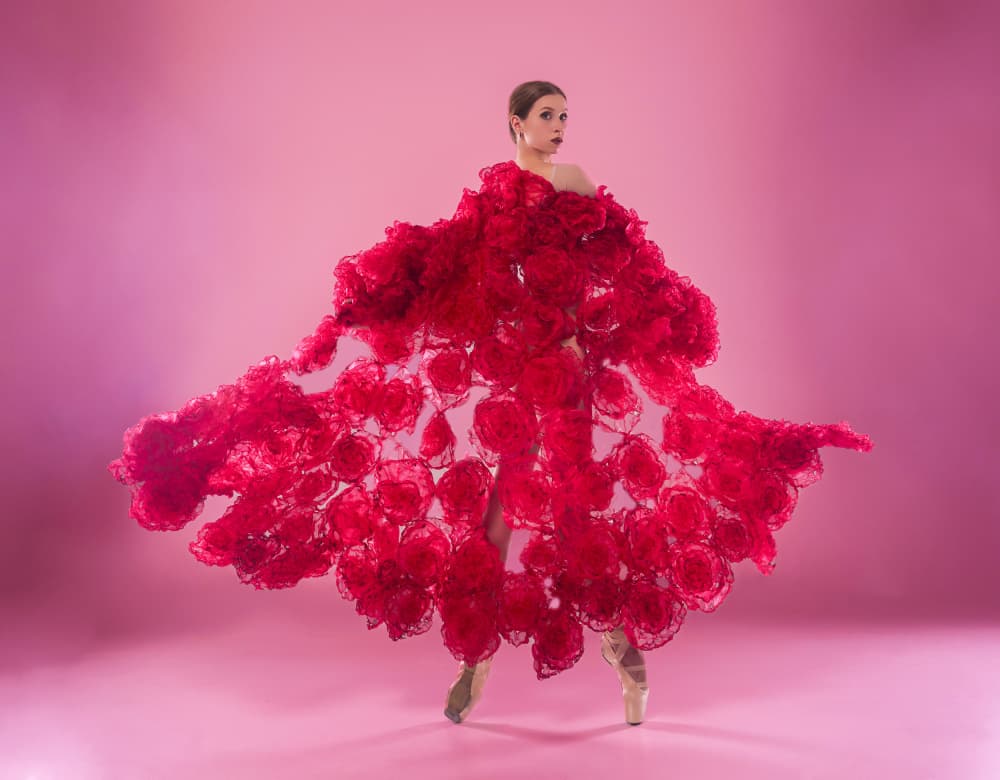 Red Rose Ballet by Alexandr — canvas wall art