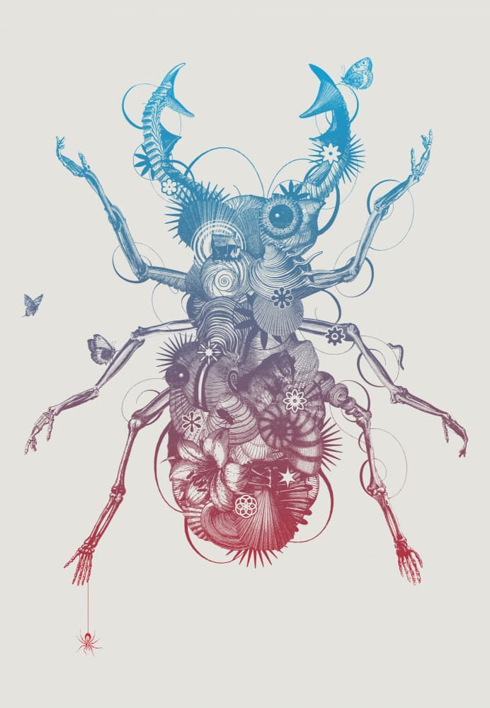 Surreal Stag Beetle by Jaco Putker — canvas wall art