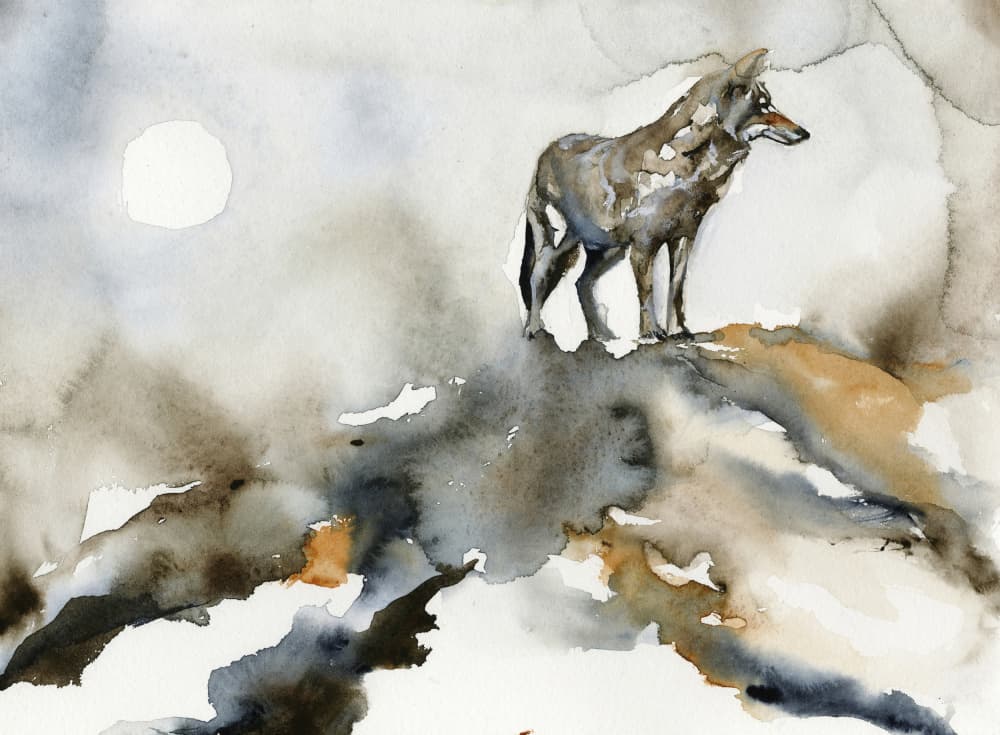 Lone Wolf Moon by RodMacIver — canvas wall art
