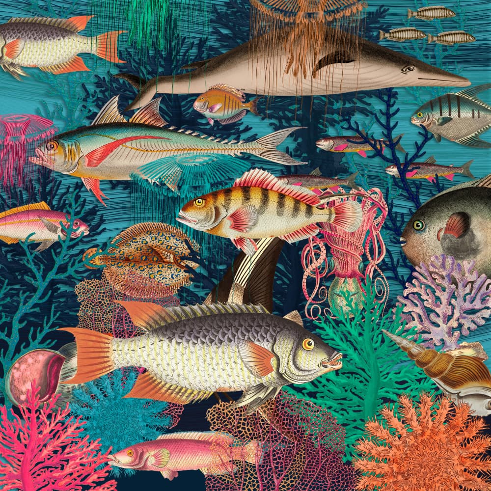 Vibrant Ocean Life by Marja van den Hurk — canvas wall art