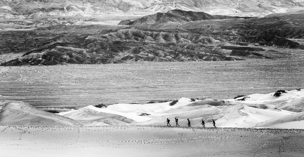 Desert Dune Journey by May G — canvas wall art