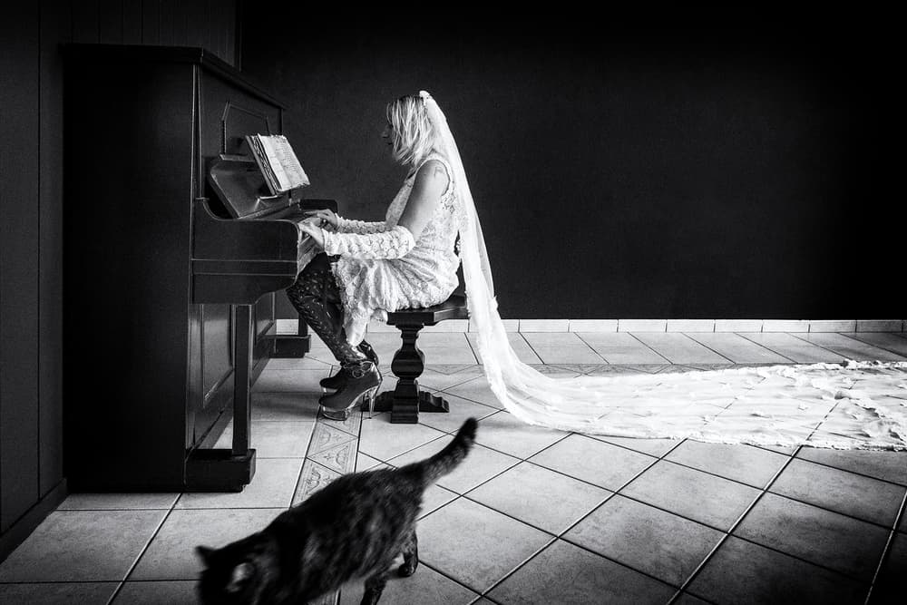 Bride Piano Cat by Ton Dirven — canvas wall art