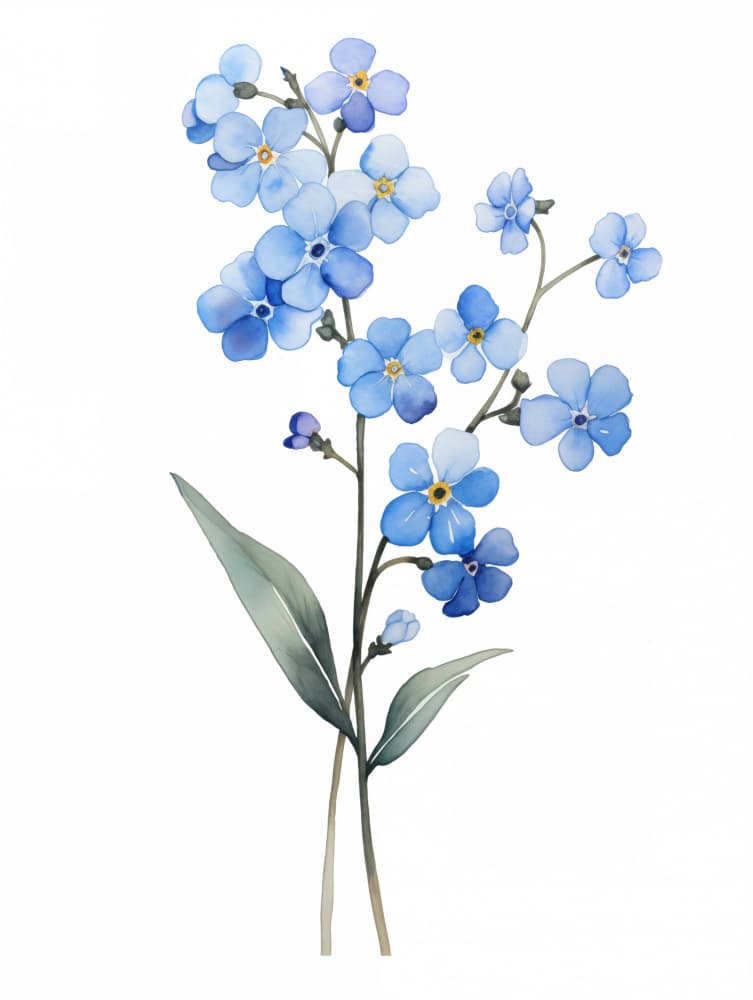 Forget Me Not Flower 2 by Christine Lindstrom — canvas wall art
