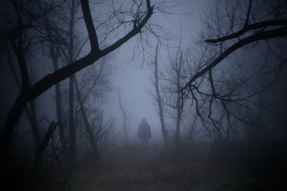 Figure In Misty Woods by Kapuschinsky — canvas wall art