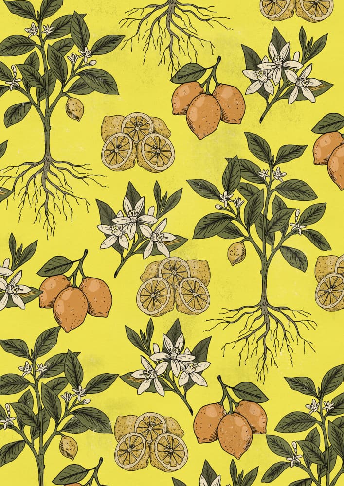 Zesty Lemon Pattern by Nicholas — canvas wall art