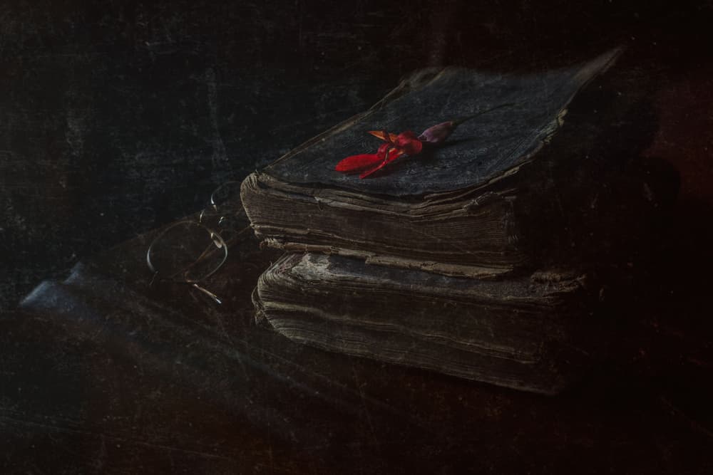 Antique Books Red Flower by Ramiz Sahin — canvas wall art