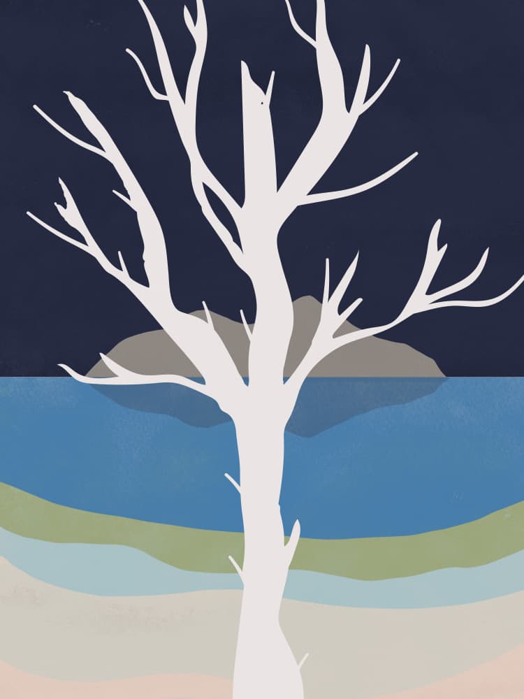 White Tree Serene Coast by Little Dean — canvas wall art