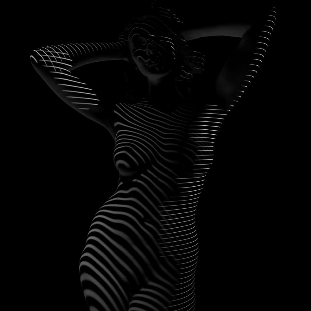 Elegant Striped Silhouette by Mountain Cloud — canvas wall art