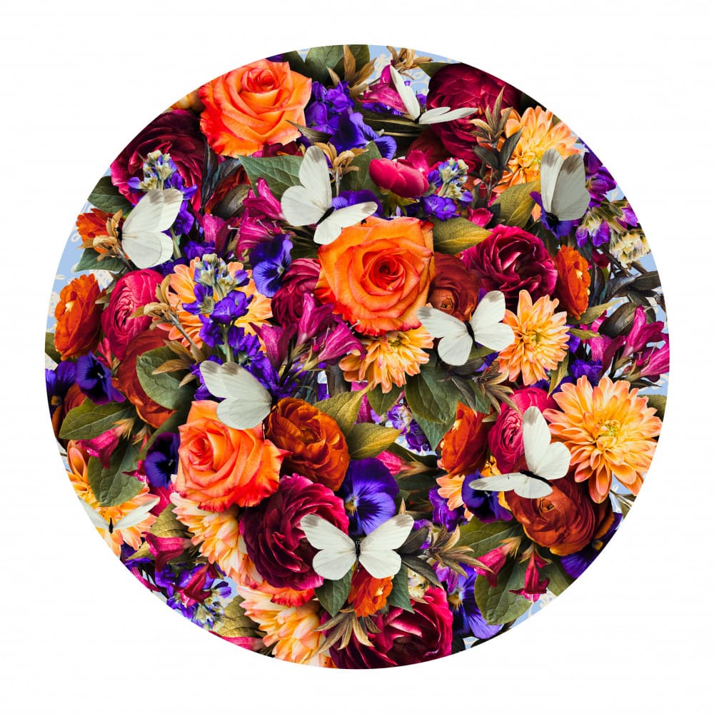 Vibrant Floral Butterflies by Sue Skellern — canvas wall art