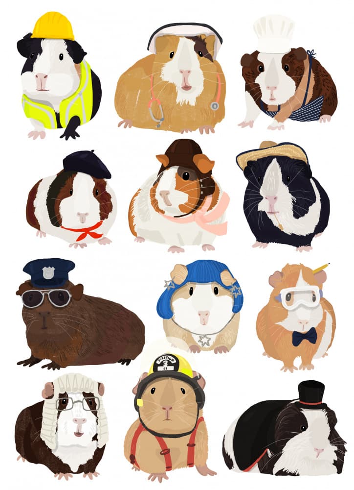 Cute Guinea Pig Careers by Hanna Melin — canvas wall art