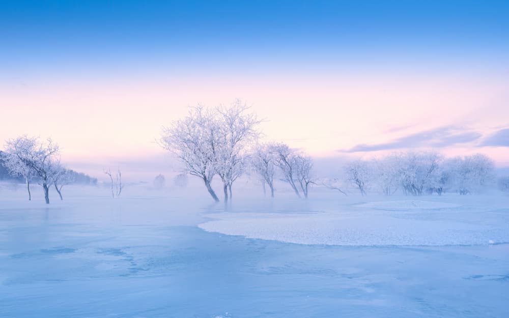 Frosted Winter Morning by Songlin Xu — canvas wall art