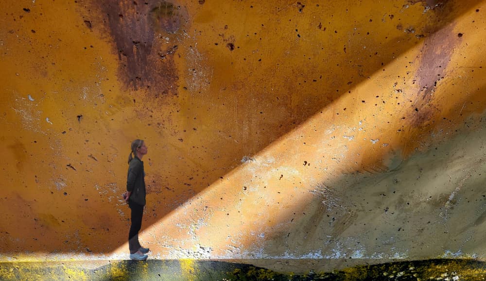 Woman In Golden Light by Huib Limberg — canvas wall art