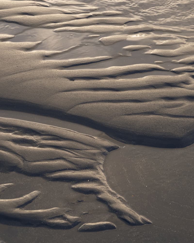Golden Sand Ripples by Hamed Bank — canvas wall art