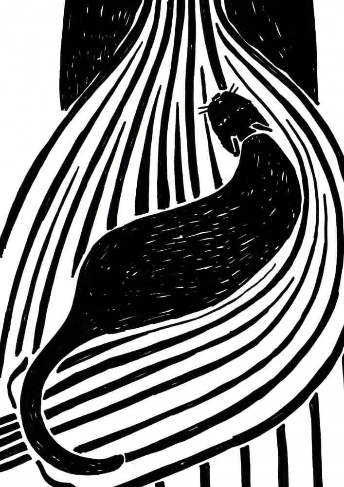 Black Cat Lines by Rosana Laiz Blursbyai — canvas wall art
