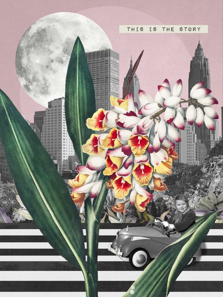 Urban Bloom Drive by Marja van den Hurk — canvas wall art