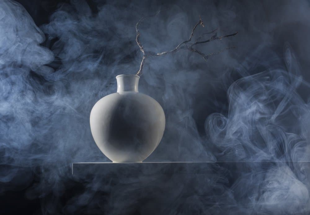 Smoky Still Life Vase by Evgeniy Popov — canvas wall art