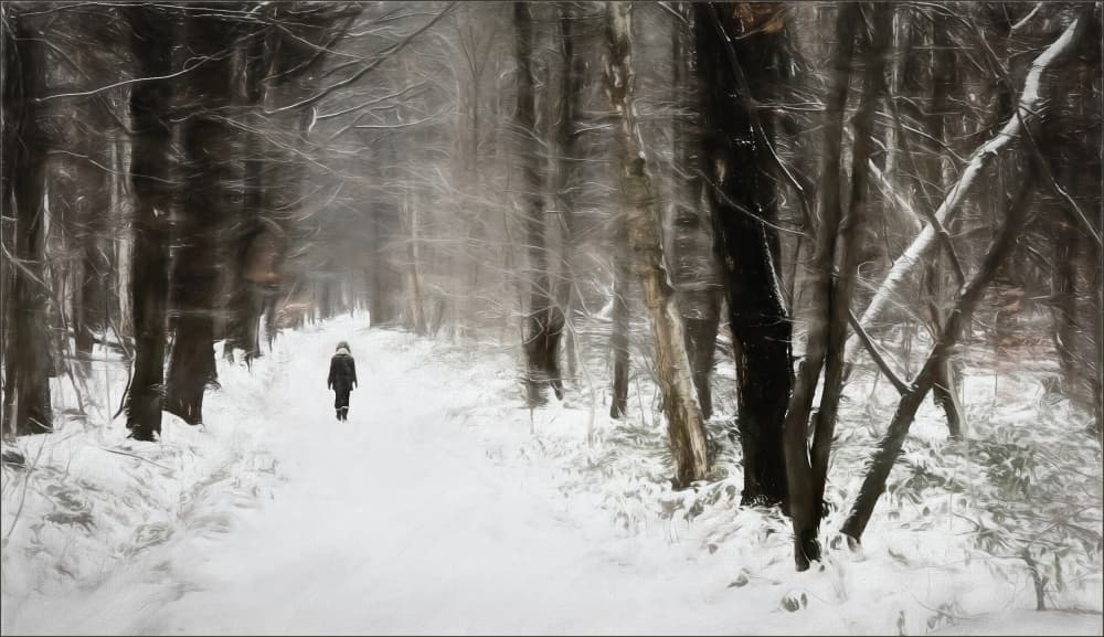 Solitary Winter Walk by Gilbert Claes — canvas wall art