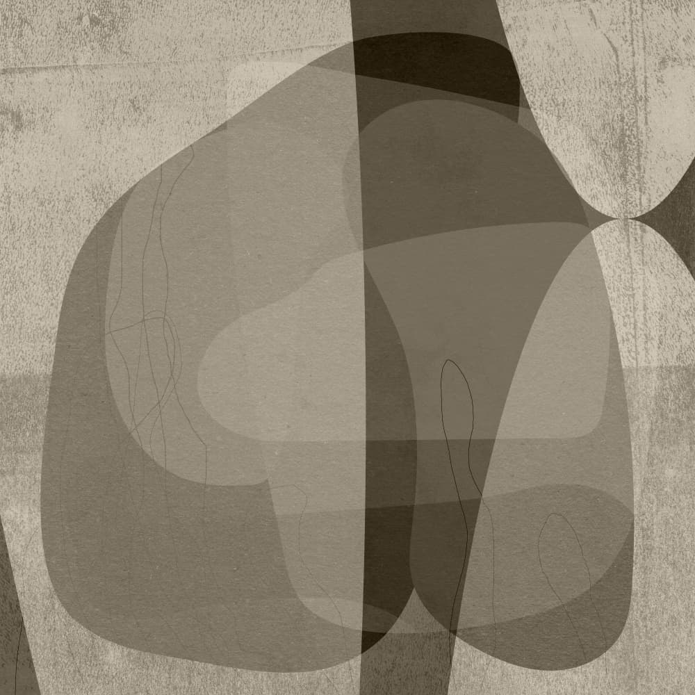 Overlapping Abstract Forms by Dina Dankers — canvas wall art