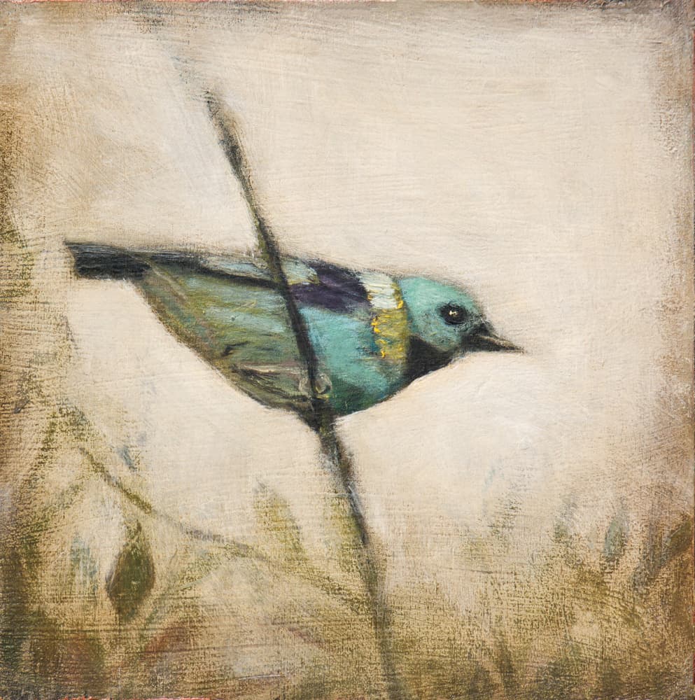 Vibrant Teal Bird by Claire Lerner — canvas wall art