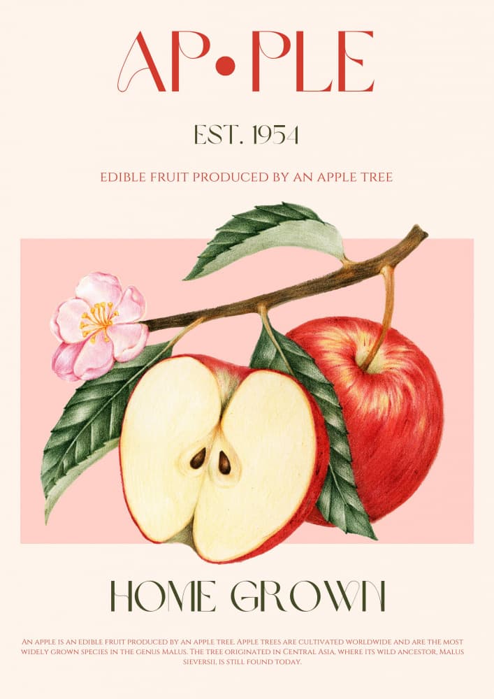 Botanical Apple and Blossom by Nazma Khokhar — canvas wall art