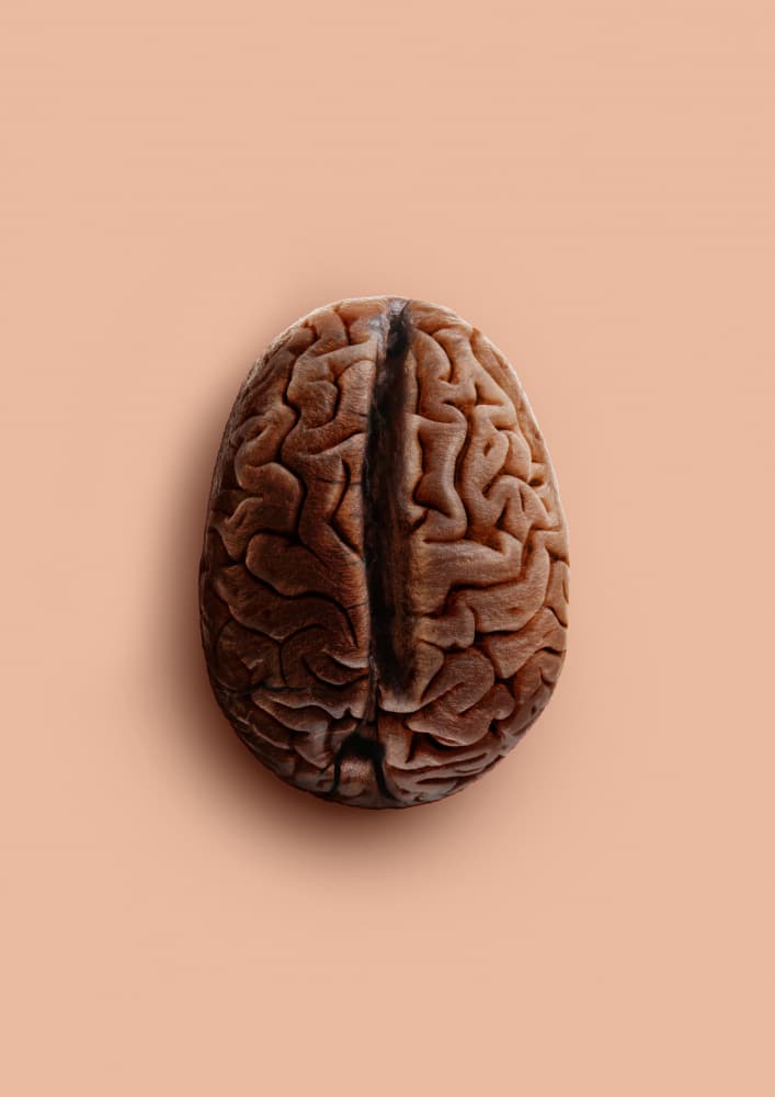 Brain Coffee Bean by Artem Pozdniakov — canvas wall art