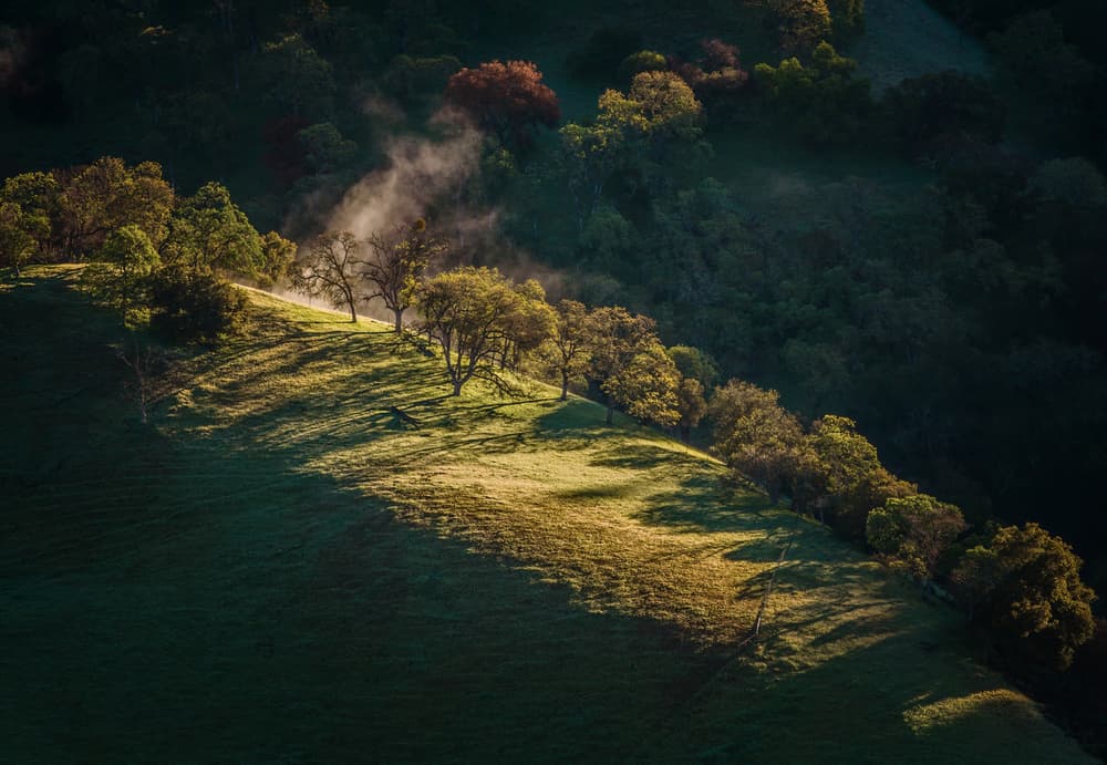 Sunlit Misty Hills by Jenny Qiu — canvas wall art