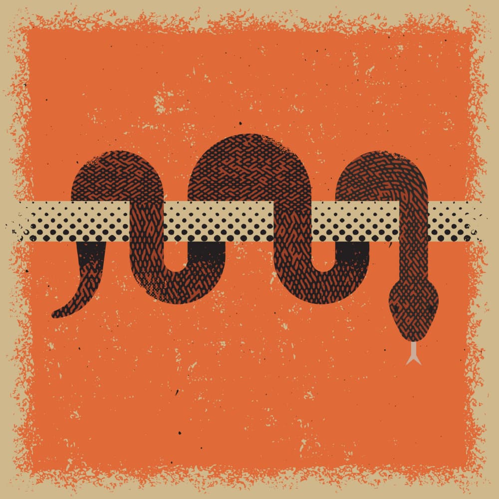 Vintage Snake Coil by The Creating Mind — canvas wall art