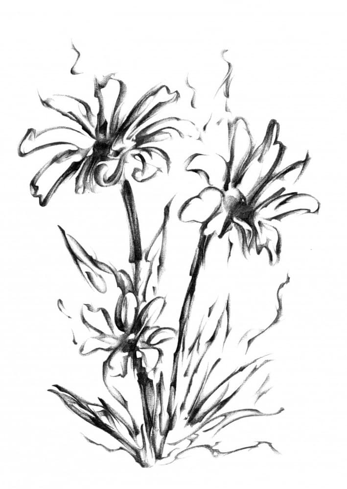 Monochrome Floral Sketch by Kulik — canvas wall art