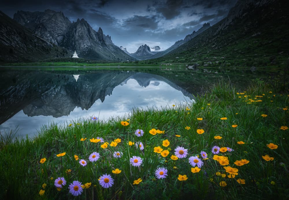 Alpine Stupa Lake Flowers by Yuan Cui — canvas wall art