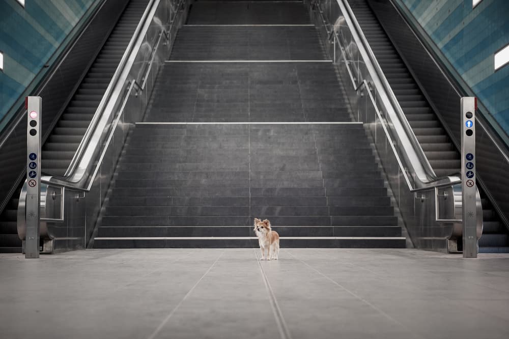 Minimalismus II. by Heike Willers — canvas wall art