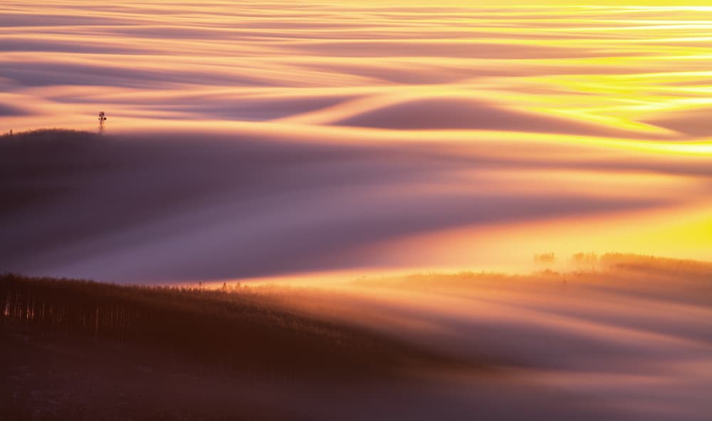 Golden Morning Mist by Peter Svoboda MQEP — canvas wall art