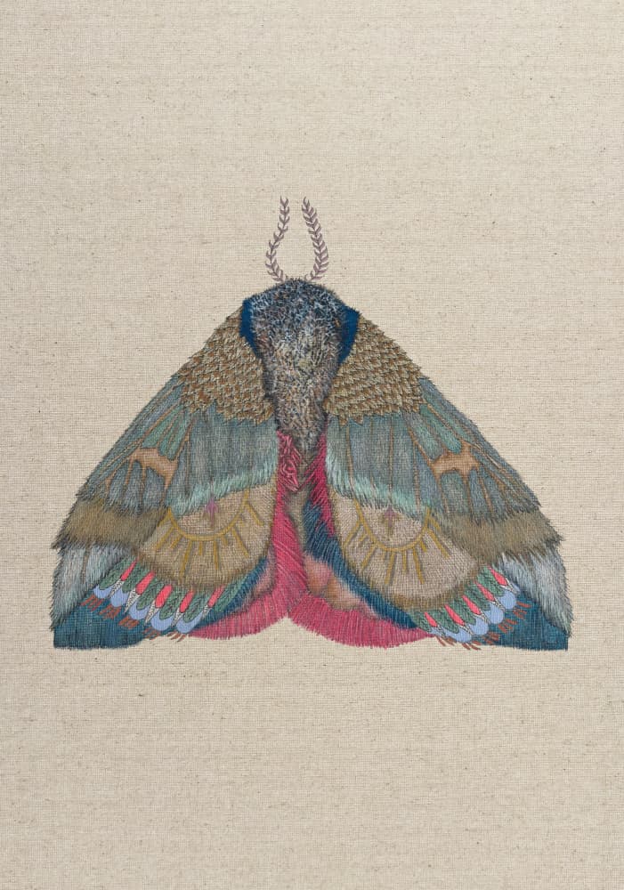 Intricate Moth Embroidery by ZAM.ROD — canvas wall art