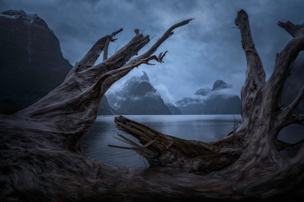 Misty Fjord Mountains by Jingshu Zhu — canvas wall art