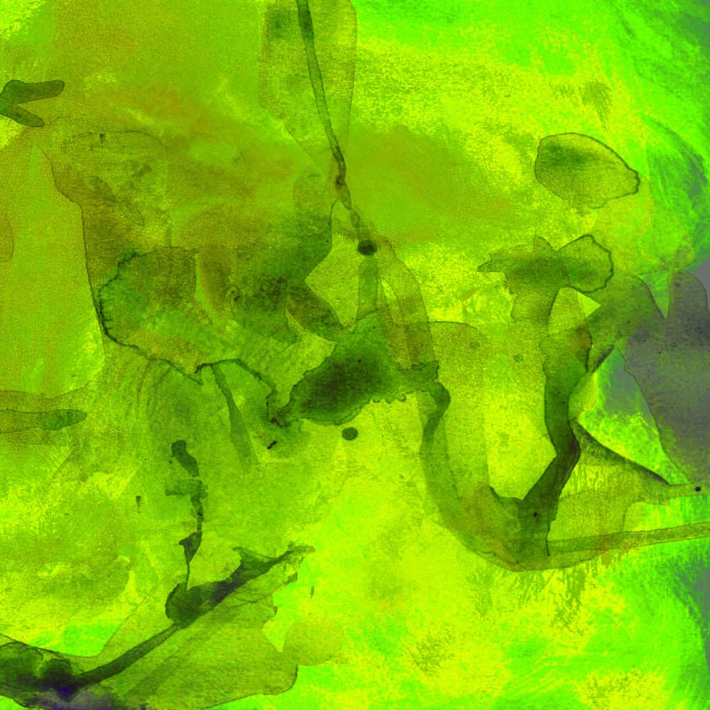 Vibrant Green Fluid Abstract by Lori Ann Folz — canvas wall art