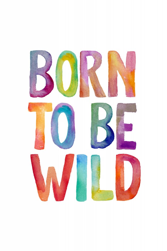 Born To Be Wild by Brett Wilson — canvas wall art