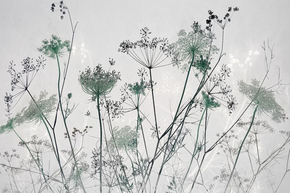 Atmosphere by Nel Talen — canvas wall art