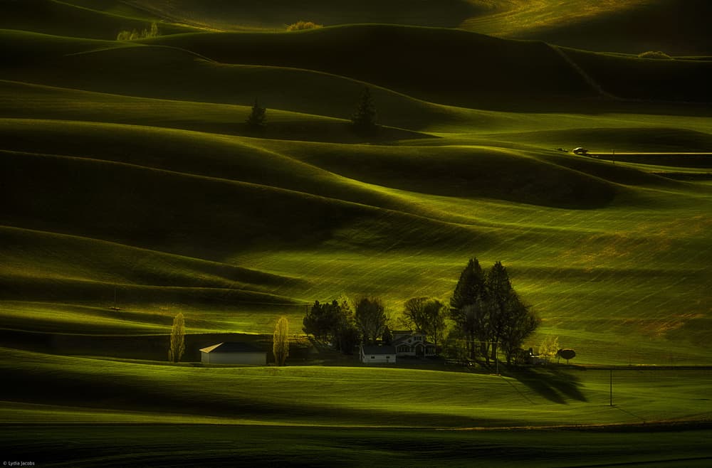 Rolling Green Hills Farmhouse by Lydia Jacobs — canvas wall art