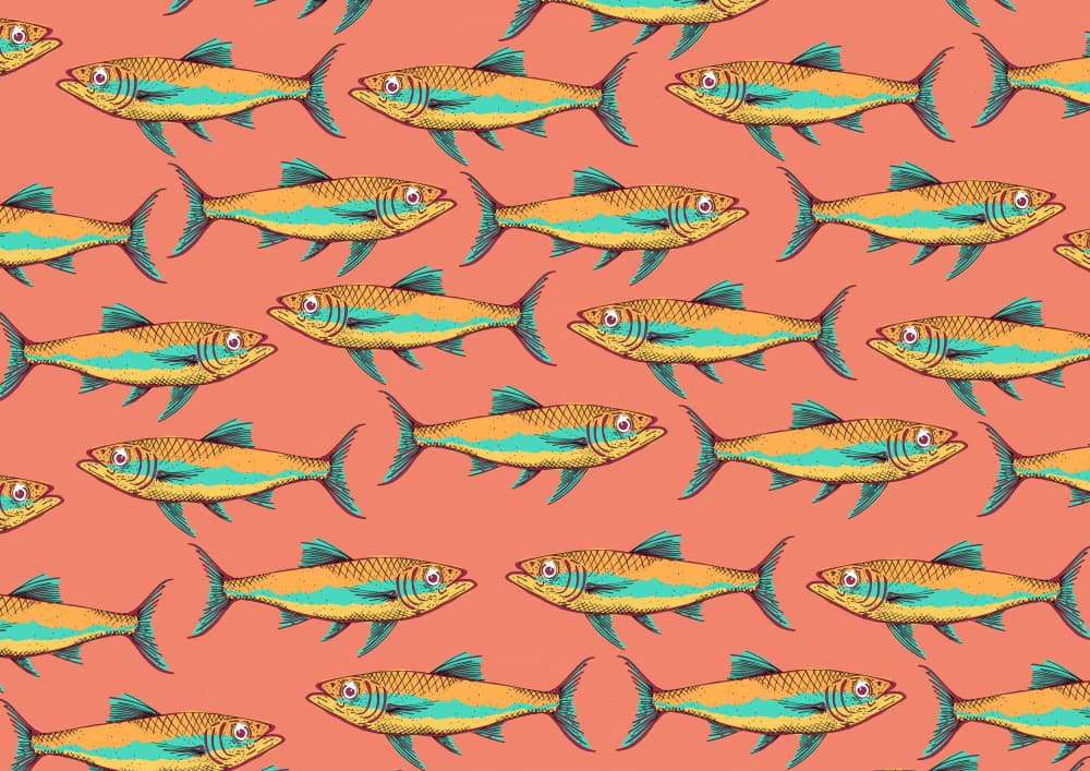 Vibrant Fish Pattern by Nicholas — canvas wall art