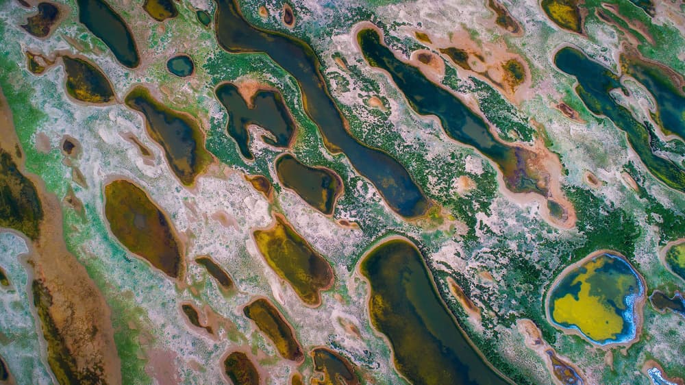 Vibrant Lake Patterns by TIANQI — canvas wall art