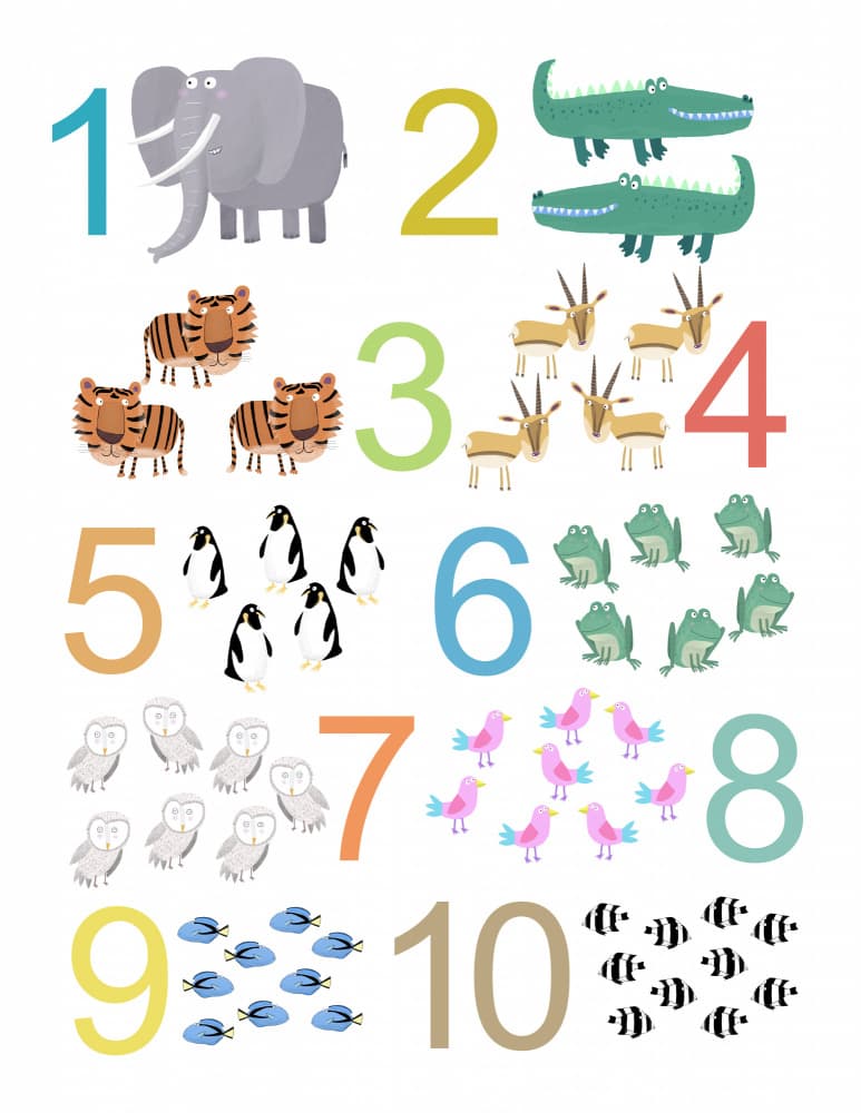 Learn to Count Animals by Carla Daly — canvas wall art